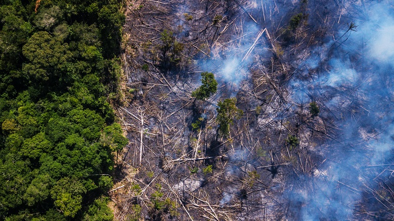 Erdê rûbereke mezina keskatîyê ji dest da